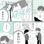 【そらりつわらび】かわいい動物を浴びすぎた人の夢